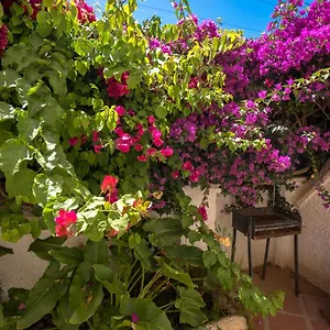  Apartment Pinos 2 Spain